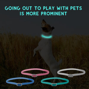 Luminous Insect Repellent Dog Collar - Pet Products